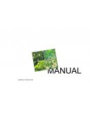 Las plantas medicinales son muy importantes