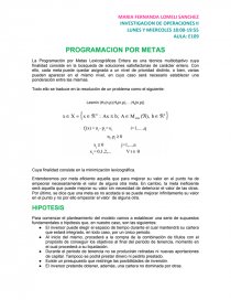 PROGRAMACION POR METAS. Página 1