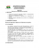 Programa de Química Normas en el laboratorio de química