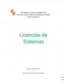 ¿Que se entiende por licencias de software?