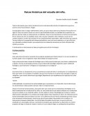 Raices historicas del desarroyo del niño