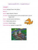 Una reflexión sobre el uso de la energía nuclear el caso de “Laguna Verde”