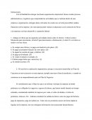 Con la finalidad de entregar una buena organización empresarial