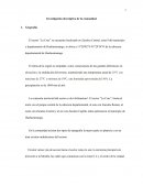 INVESTIGACIÓN DESCRIPTIVA DE LA COMUNIDAD..