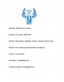 Administración de marcas. Café Punta del Cielo