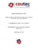 SOBRE LOS PRINCIPIOS GENERALES DE CÓDIGO PROCESAL CIVIL DE HONDURAS