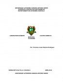 Laboratorio sobre mercados economicos.