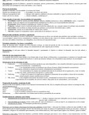 UADE - Marketing 1 Primer Parcial