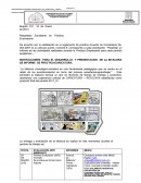 INSTRUCCIONES PARA EL DESARROLLO Y PRESENTACION DE LA BITACORA DE INFORME DE PRÁCTICA/CARICATURA.