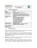 Aplicación web para seguimiento del plan de mejoramiento del centro de calidad académica