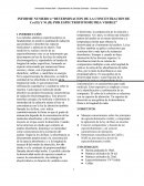 INFORME NUMERO 4 “DETERMINACION DE LA CONCENTRACION DE Co (II) Y Ni (II) POR ESPECTROFOTOMETRIA VISIBLE”