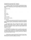 Proceso adecuado de evisceracion.