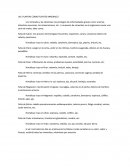 Las plantas fuentes de salud