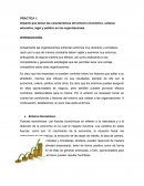 Impacto que tienen las características del entorno económico, cultural, educativo, legal y político en las organizaciones.