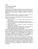 Ensayo Reputación Corporativa.