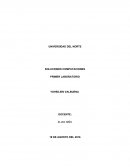 Taller 1 soluciones computacionales.