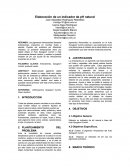 Extracción de Antocianinas