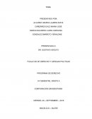 DERECHO PENAL ESPECIAL.