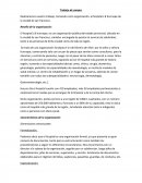 Administracion diseño organizacional