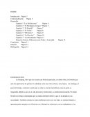 Analisis de la Paradoja