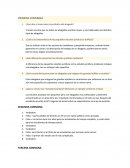 1er parcial ingles juridico