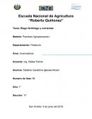 Riego fertirriego y nutrirntes