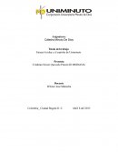 Ensayo la idea y el espíritu de Uniminuto