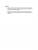 Economia santandereana en el siglo xx (cafe y caña)