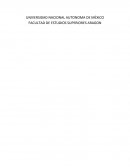 Campo de estudio y método de la economía.