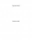 El delito, introducción