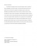 Capitulo 3 alternativa de innovación estrategias