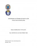 REPORTE DE LECTURA PRIMER TEMA