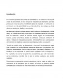 En el presente portafolio se muestran las actividades que se realizaron en la segunda unidad de este semestre