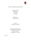 La Administración ha existido desde el principio de los tiempos, de una manera empírica y muy informal, no contaba con una estructura organizacional ni un proceso administrativo.