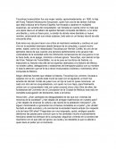 Tecuichpo Ixcaxoxhitzin