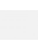 DESARROLLO DE LA MENTALIDAD EMPRENDEDORA