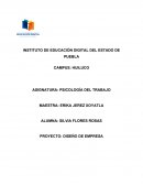 DISEÑO DE EMPRESA. APPLE CHILI