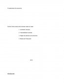 Los Fundamentos de Economia.