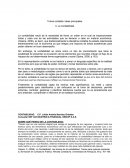 Trama contable: ideas principales.