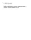 ¿cuál es la condición del hombre?