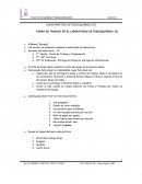 Formato de trabajo.CURSO PRÁCTICO DE FISICOQUÍMICA III