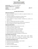 Planificacion anual tematica