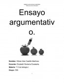 Alimentos transgénicos. Ensayo argumentativo.