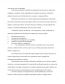 Tipos de proyectos de multimedia
