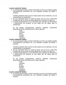 PLANTA ARQUITECTONICA