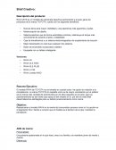 El modelo RAV4 de TOYOTA no es tomado en cuenta como 1ra opción en relación a la competencia