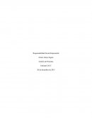 Responsabilidad Social Empresarial.(RSE)