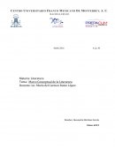 Marco Conceptual de la Literatura.