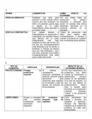 APERTURA ECONÓMICA Y NEOLIBERALISMO.