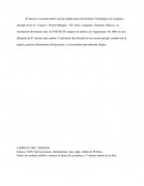 PRELIMINARES DE UNA OBRA